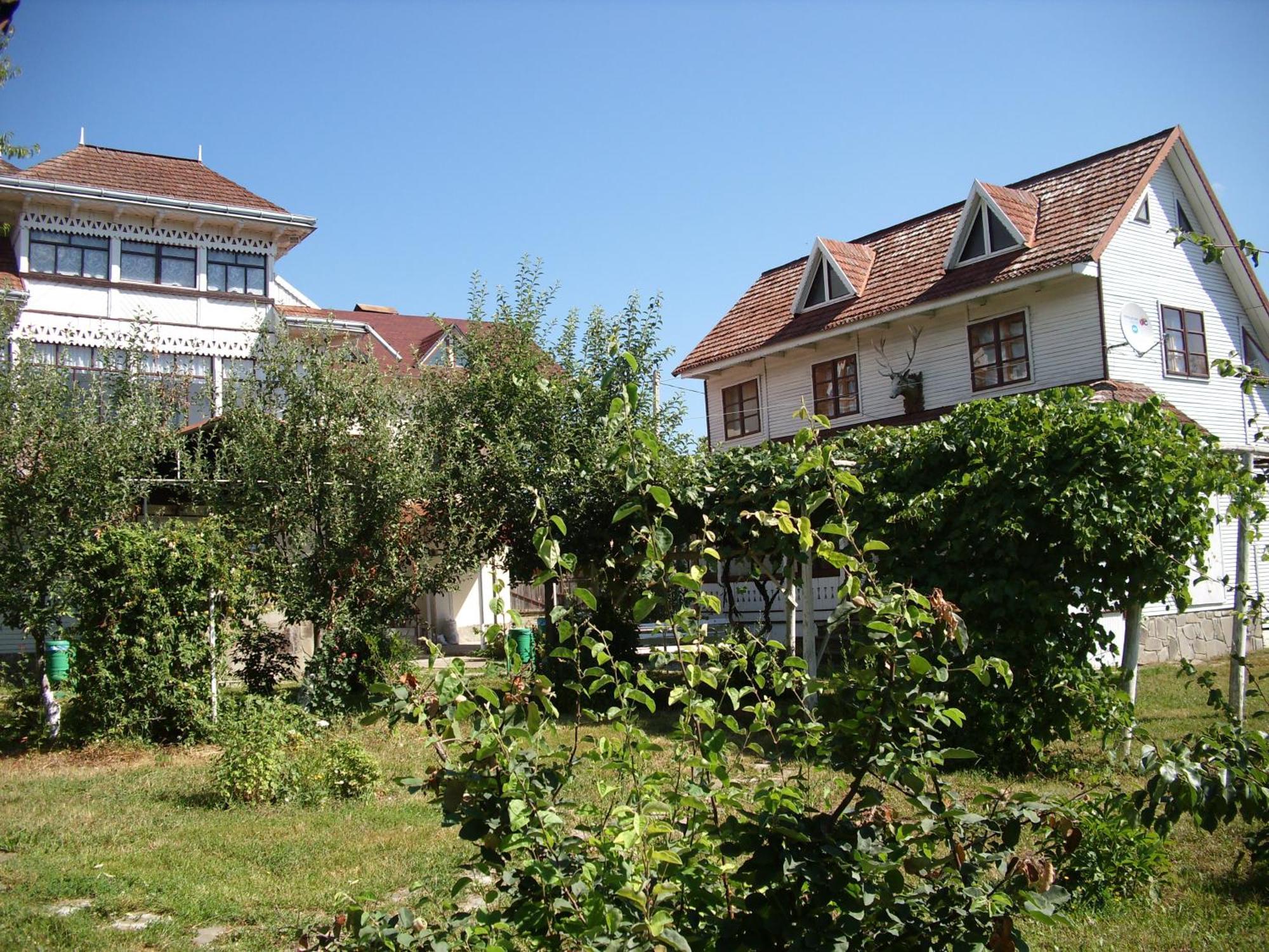 Villa Padurea De Argint Văratec Esterno foto