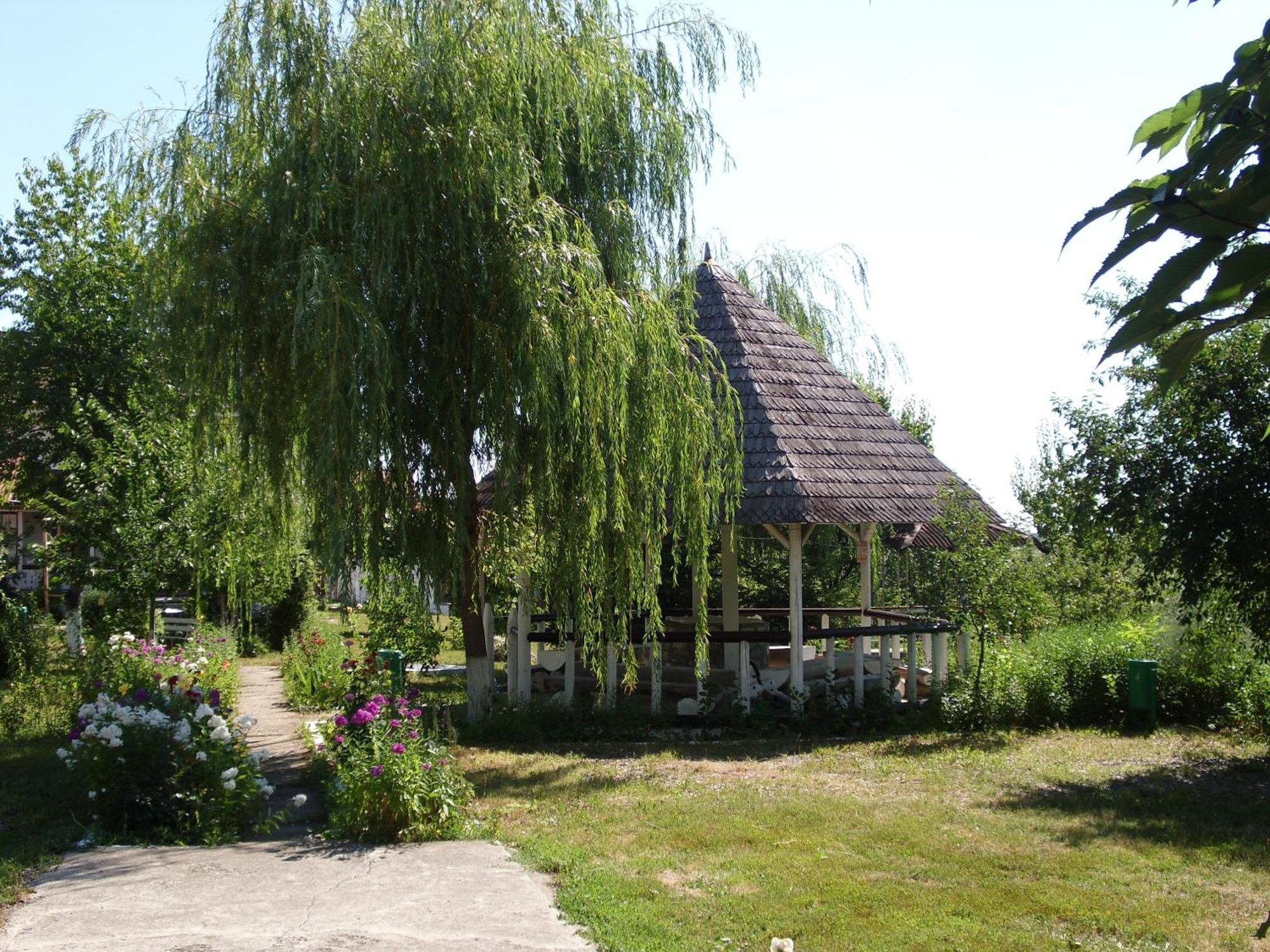 Villa Padurea De Argint Văratec Esterno foto