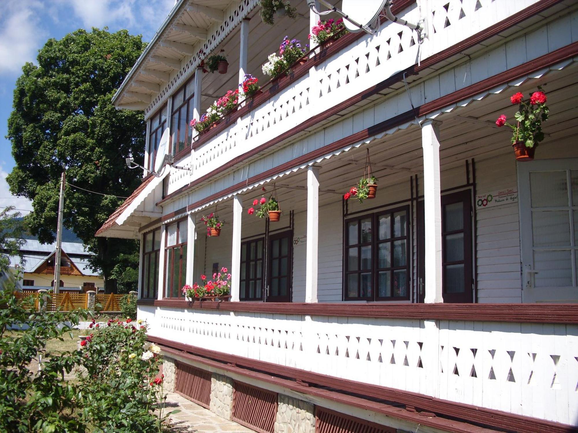 Villa Padurea De Argint Văratec Esterno foto