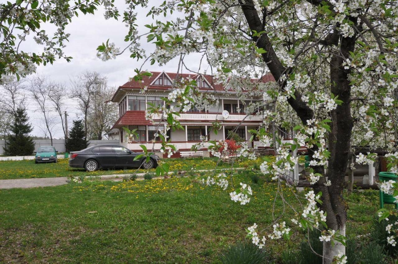 Villa Padurea De Argint Văratec Esterno foto