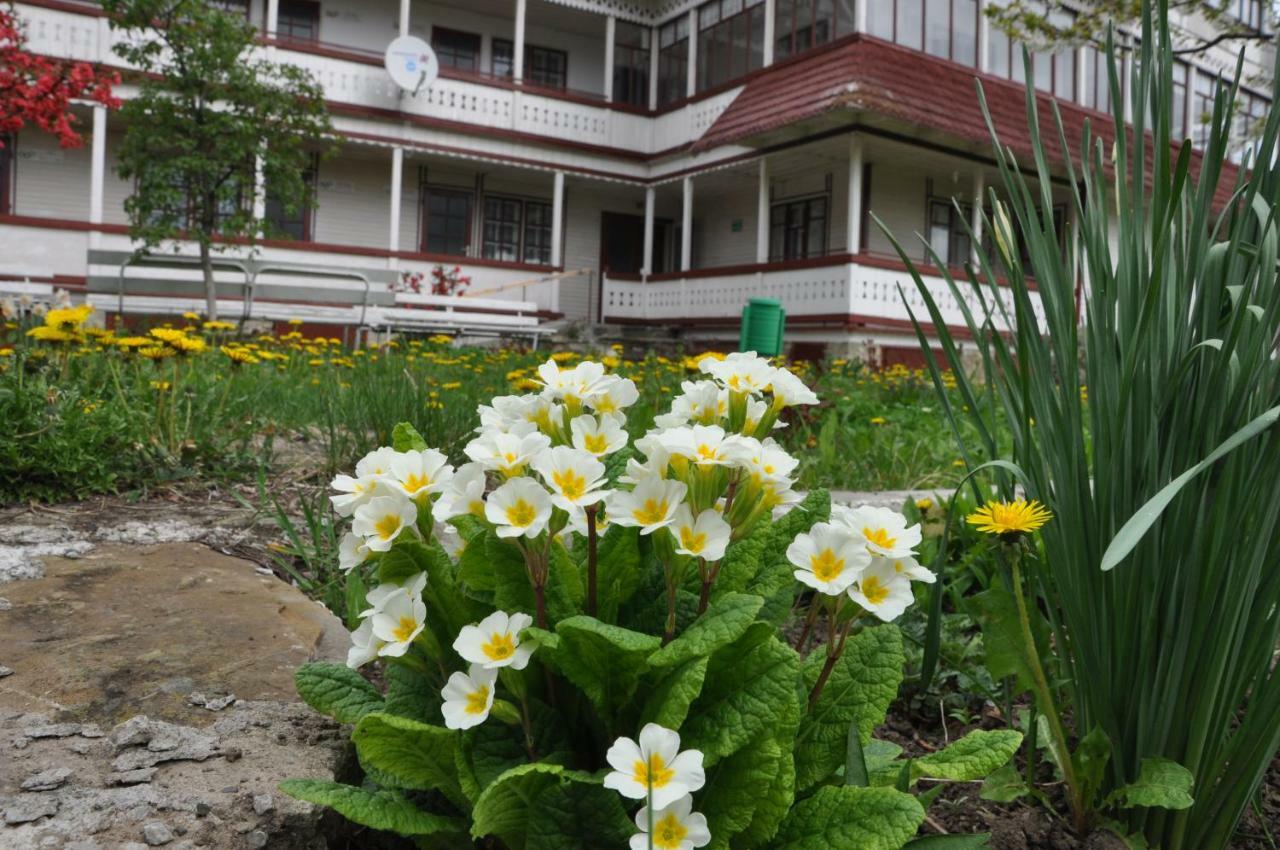 Villa Padurea De Argint Văratec Esterno foto